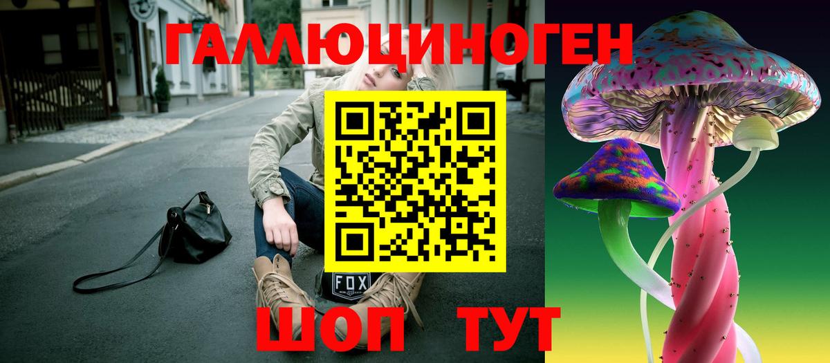 Псилоцибиновые грибы Psilocybine cubensis  Вход с VPN  Ухта 